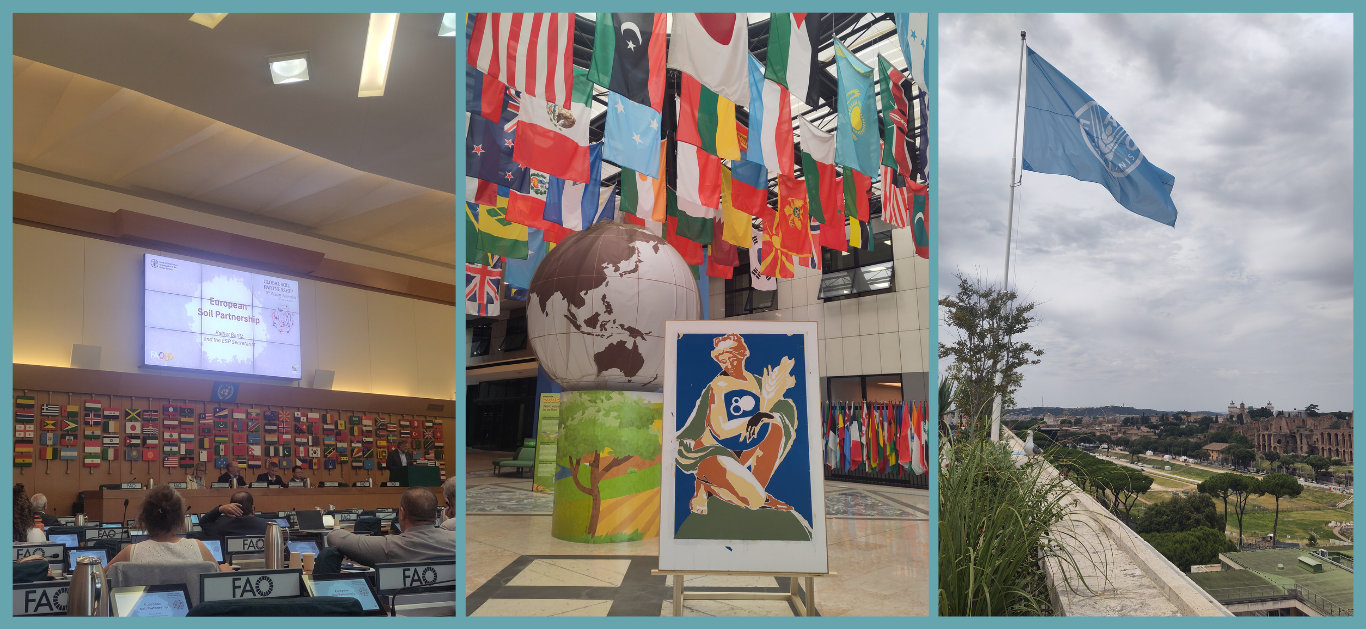 13th GSP Plenary Assembly 03-05 June 2025 The picture collage contains two pictures: On the left side there is a photo showing one of the entry rooms of the FAO. There are many flags from different countries hanging from the ceiling and in the centre you can see a painting of a woman sitting on the earth and holding wheat in her arms. The number 80 is included in the painting since the FAO celebrates 80 years of existence in 2025. Behind the picture is a big simulation of the earth. On the right side, you can see a picture of the ESP chair presenting updates of the ESP during the GSP Plenary Assembly. The presentation of the ESP is shown on a big screen, below the screen are all flags from FAO member countries.